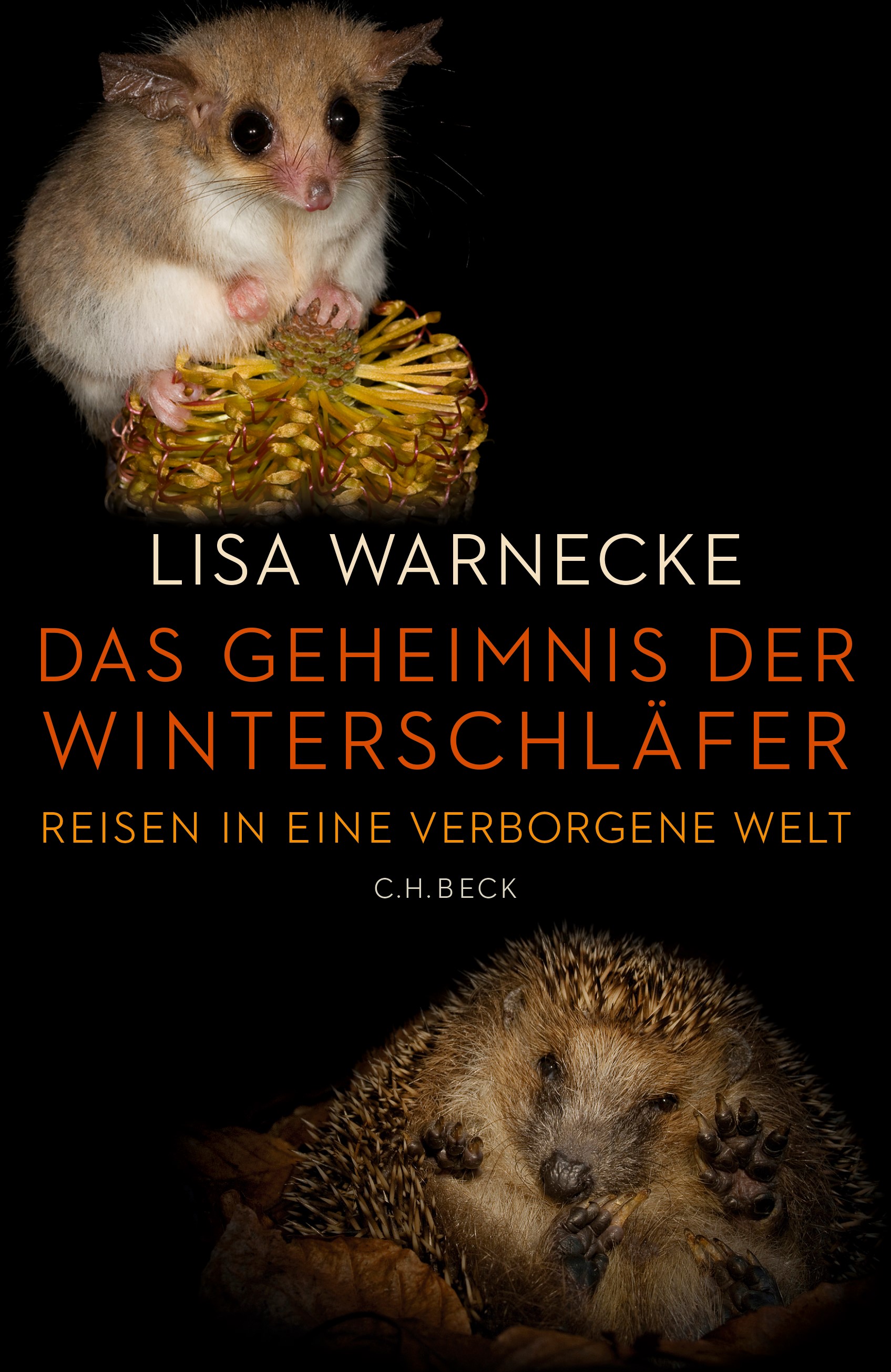 Cover: Warnecke, Lisa, Das Geheimnis der Winterschläfer