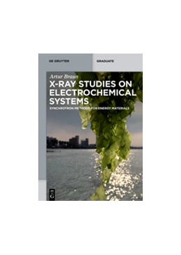 Abbildung von Braun | X-Ray Studies on Electrochemical Systems | 1. Auflage | 2017 | beck-shop.de