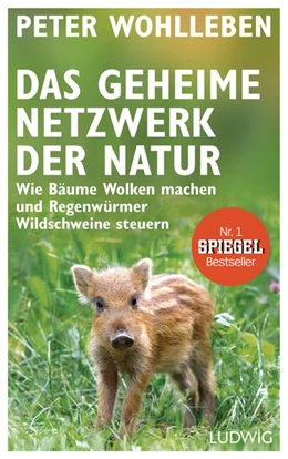 Abbildung von Wohlleben | Das geheime Netzwerk der Natur | 1. Auflage | 2017 | beck-shop.de
