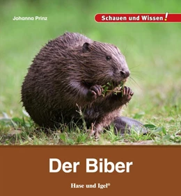 Abbildung von Prinz | Der Biber | 1. Auflage | 2017 | beck-shop.de