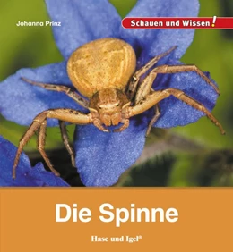 Abbildung von Prinz | Die Spinne | 1. Auflage | 2017 | beck-shop.de