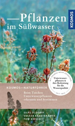 Abbildung von Oldorff / Kirschey | Pflanzen im Süßwasser | 1. Auflage | 2017 | beck-shop.de
