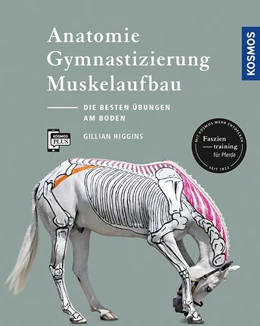 Abbildung von Higgins | Anatomie, Gymnastizierung, Muskelaufbau | 2. Auflage | 2017 | beck-shop.de