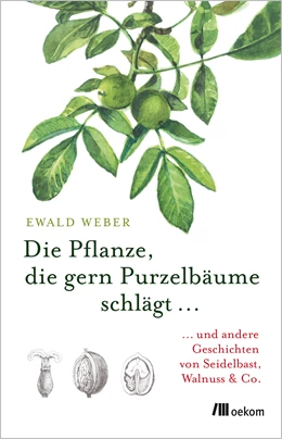 Abbildung von Weber | Die Pflanze, die gern Purzelbäume schlägt ... | 1. Auflage | 2018 | beck-shop.de