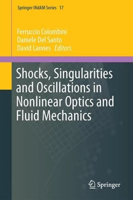 Abbildung von Colombini / Del Santo | Shocks, Singularities and Oscillations in Nonlinear Optics and Fluid Mechanics | 1. Auflage | 2017 | beck-shop.de