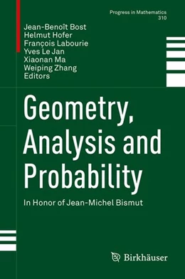 Abbildung von Bost / Hofer | Geometry, Analysis and Probability | 1. Auflage | 2017 | beck-shop.de