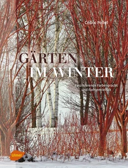 Abbildung von Pollet | Gärten im Winter | 1. Auflage | 2017 | beck-shop.de