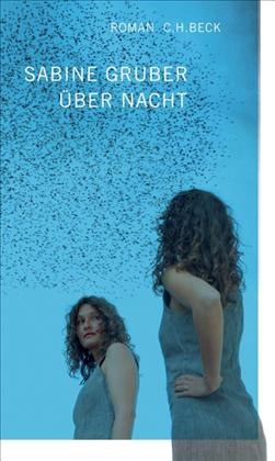 Cover: Gruber, Sabine, Über Nacht