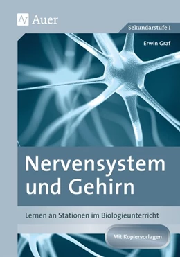 Abbildung von Graf | Nervensystem und Gehirn | 1. Auflage | 2017 | beck-shop.de