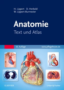 Abbildung von Lippert / Herbold | Anatomie | 10. Auflage | 2017 | beck-shop.de