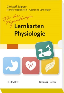 Abbildung von Zalpour | Lernkarten Physiologie für die Physiotherapie | 1. Auflage | 2017 | beck-shop.de