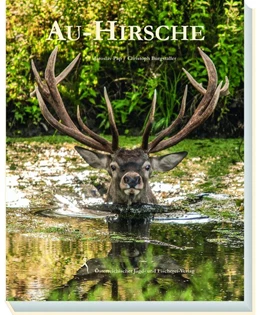 Abbildung von Pap / Burgstaller | Au-Hirsche | 1. Auflage | 2017 | beck-shop.de