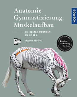 Abbildung von Higgins | Anatomie, Gymnastizierung, Muskelaufbau | 1. Auflage | 2017 | beck-shop.de