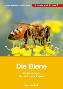 Abbildung von Küntzel / Prinz | Die Biene - Kopiervorlagen für die 2. bis 4. Klasse | 1. Auflage | 2017 | beck-shop.de