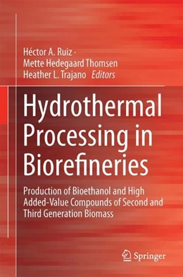Abbildung von Ruiz / Hedegaard Thomsen | Hydrothermal Processing in Biorefineries | 1. Auflage | 2017 | beck-shop.de