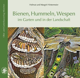 Abbildung von Hintermeier | Bienen, Hummeln, Wespen im Garten und in der Landschaft | 8. Auflage | 2017 | beck-shop.de