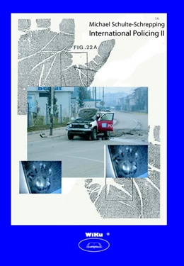 Abbildung von Schulte-Schrepping | International Policing II | 1. Auflage | 2008 | 19 | beck-shop.de