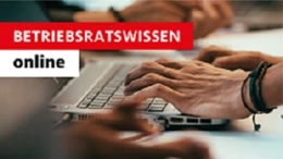 Abbildung von Däubler / Kittner | Betriebsratswissen online | 1. Auflage | | beck-shop.de