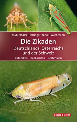 Abbildung von Mühlethaler / Holzinger | Die Zikaden Deutschlands, Österreichs und der Schweiz | 1. Auflage | 2018 | beck-shop.de