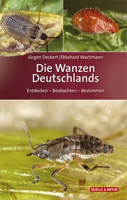 Abbildung von Deckert / Wachmann | Die Wanzen Deutschlands | 1. Auflage | 2020 | beck-shop.de