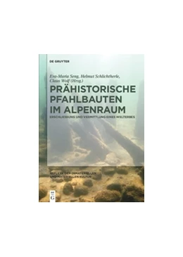 Abbildung von Seng / Schlichtherle | Prähistorische Pfahlbauten im Alpenraum | 1. Auflage | 2018 | beck-shop.de