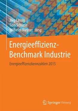 Abbildung von Lässig / Schütte | Energieeffizienz-Benchmark Industrie | 1. Auflage | 2017 | beck-shop.de