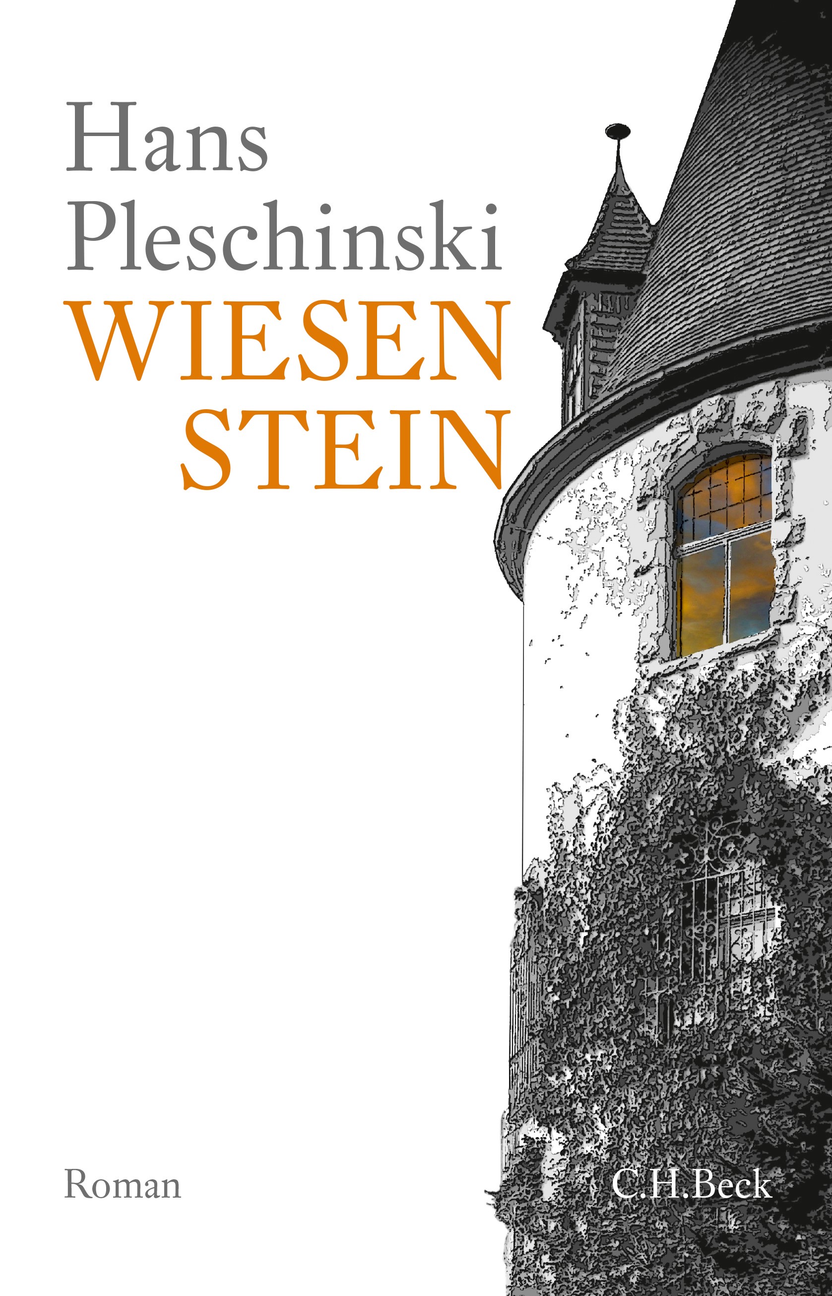 Cover: Pleschinski, Hans, Wiesenstein