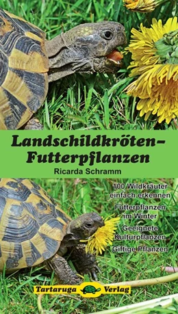 Abbildung von Schramm | Landschildkröten-Futterpflanzen | 3. Auflage | 2017 | beck-shop.de