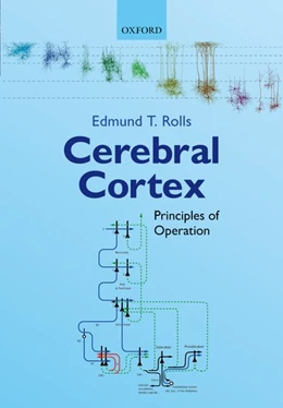 Abbildung von Rolls | Cerebral Cortex | 1. Auflage | 2017 | beck-shop.de