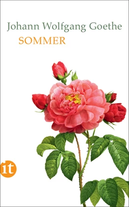 Abbildung von Goethe / Mayer | Sommer | 1. Auflage | 2018 | beck-shop.de