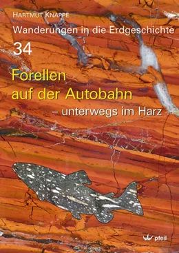 Abbildung von Knappe | Forellen auf der Autobahn | 1. Auflage | 2017 | beck-shop.de