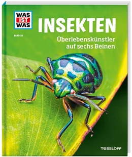 Abbildung von Rigos | WAS IST WAS Band 30 Insekten. Überlebenskünstler auf sechs Beinen | 1. Auflage | 2018 | beck-shop.de
