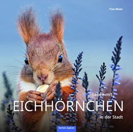 Abbildung von Meier | Leben mit Eichhörnchen in der Stadt | 2. Auflage | 2018 | beck-shop.de