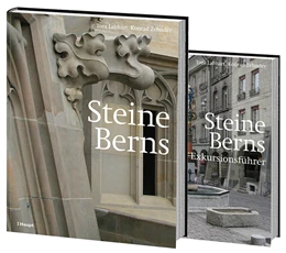 Abbildung von Labhart / Zehnder | Steine Berns | 1. Auflage | 2018 | beck-shop.de