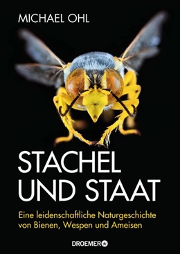 Abbildung von Ohl | Stachel und Staat | 1. Auflage | 2018 | beck-shop.de