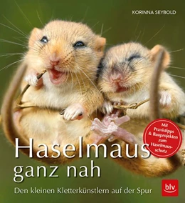Abbildung von Seybold | Haselmaus ganz nah | 1. Auflage | 2018 | beck-shop.de