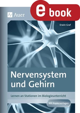 Abbildung von Graf | Nervensystem und Gehirn | 1. Auflage | 2023 | beck-shop.de
