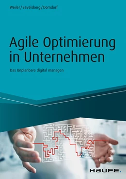 Abbildung von Weiler / Savelsberg | Agile Optimierung in Unternehmen | 1. Auflage | 2018 | beck-shop.de