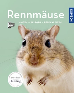 Abbildung von Steinkamp | Rennmäuse | 2. Auflage | 2018 | beck-shop.de