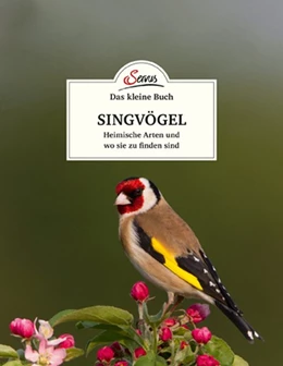 Abbildung von Kamolz | Das kleine Buch: Singvögel | 1. Auflage | 2018 | beck-shop.de