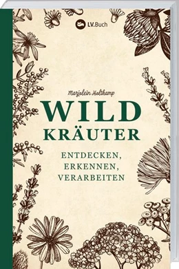 Abbildung von Holtkamp | Wildkräuter - entdecken, erkennen und verarbeiten | 1. Auflage | 2018 | beck-shop.de