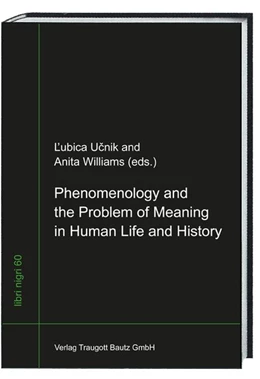 Abbildung von Ucnik / Williams | Phenomenology and the Problem of Meaning in Human Life and History | 1. Auflage | 2017 | beck-shop.de
