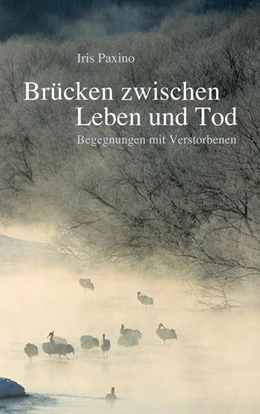 Abbildung von Paxino | Brücken zwischen Leben und Tod | 1. Auflage | 2018 | beck-shop.de