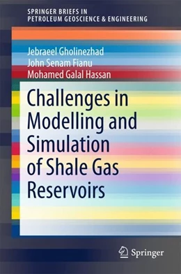 Abbildung von Gholinezhad / Fianu | Challenges in Modelling and Simulation of Shale Gas Reservoirs | 1. Auflage | 2017 | beck-shop.de
