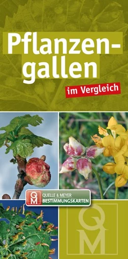 Abbildung von Pflanzengallen im Vergleich | 1. Auflage | 2018 | beck-shop.de