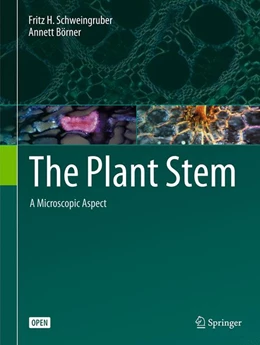 Abbildung von Börner / Schweingruber | The Plant Stem | 1. Auflage | 2018 | beck-shop.de