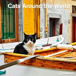 Abbildung von 2019 Cats around the World Grid Calendar | 1. Auflage | 2018 | beck-shop.de