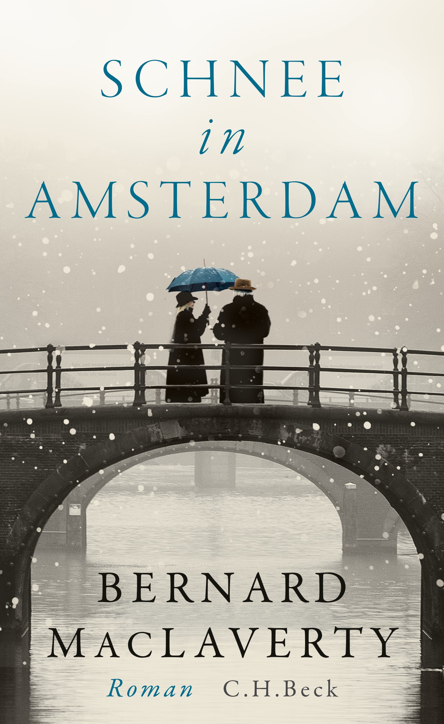 Cover: MacLaverty, Bernard, Schnee in Amsterdam