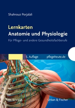 Abbildung von Porjalali | Lernkarten Anatomie und Physiologie | 5. Auflage | 2018 | beck-shop.de