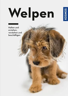 Abbildung von Lübbe-Scheuermann / Schöning | Welpen | 1. Auflage | 2018 | beck-shop.de